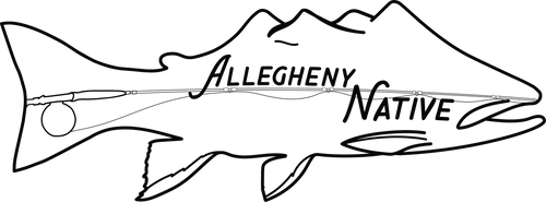Allegheny Native Films logo