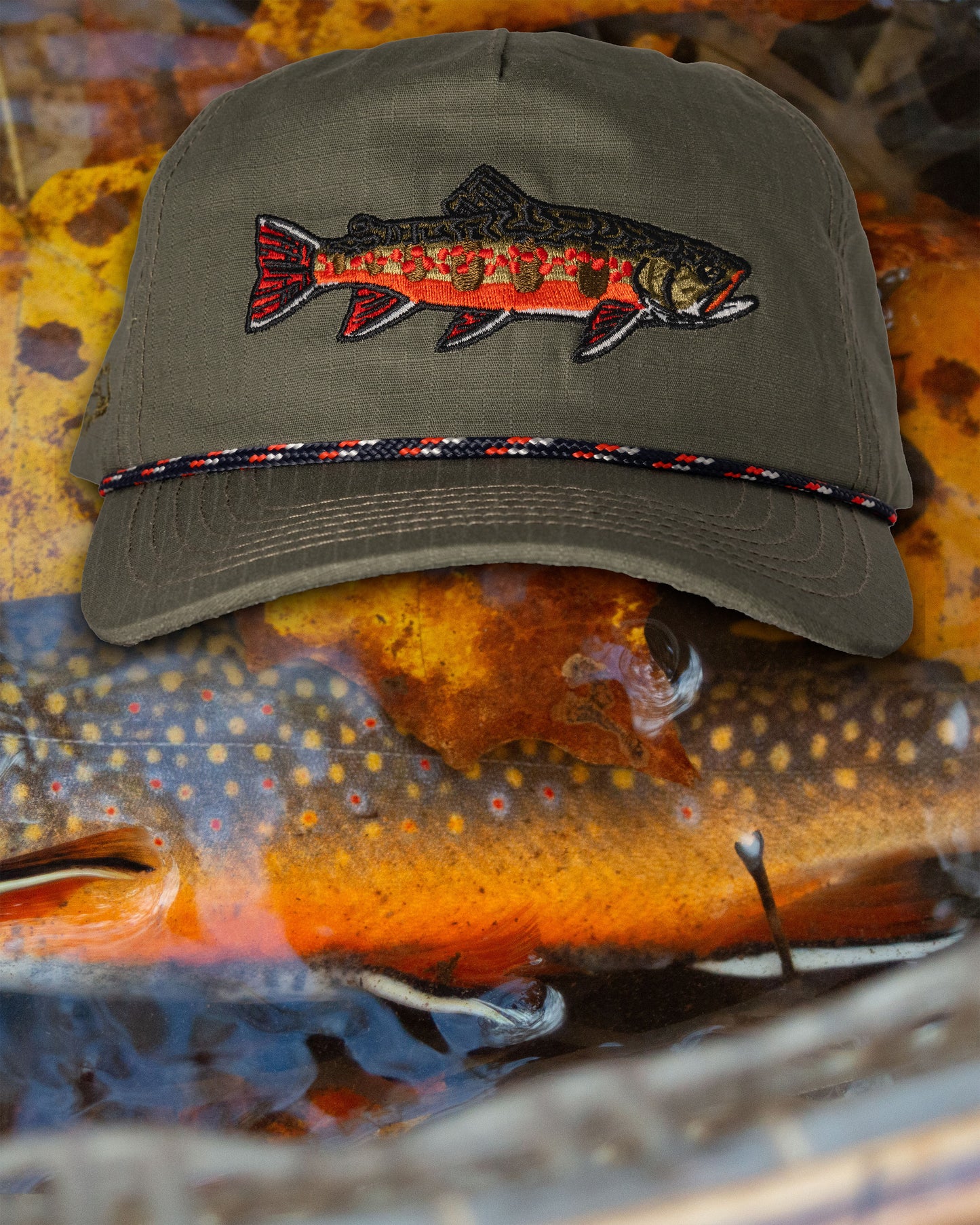 Wild Trout Hat Bundle