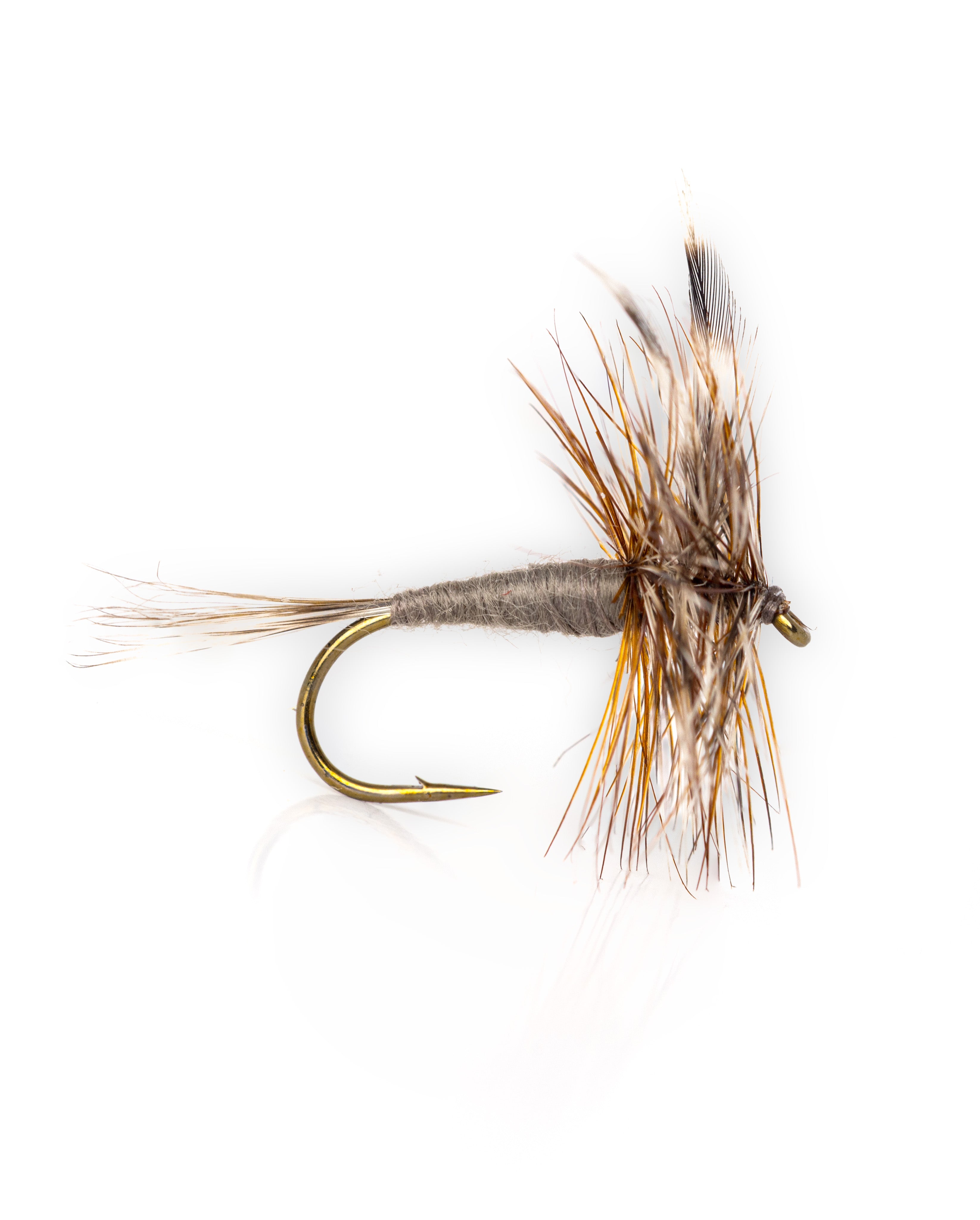 Dry Flies – Allegheny Native Films