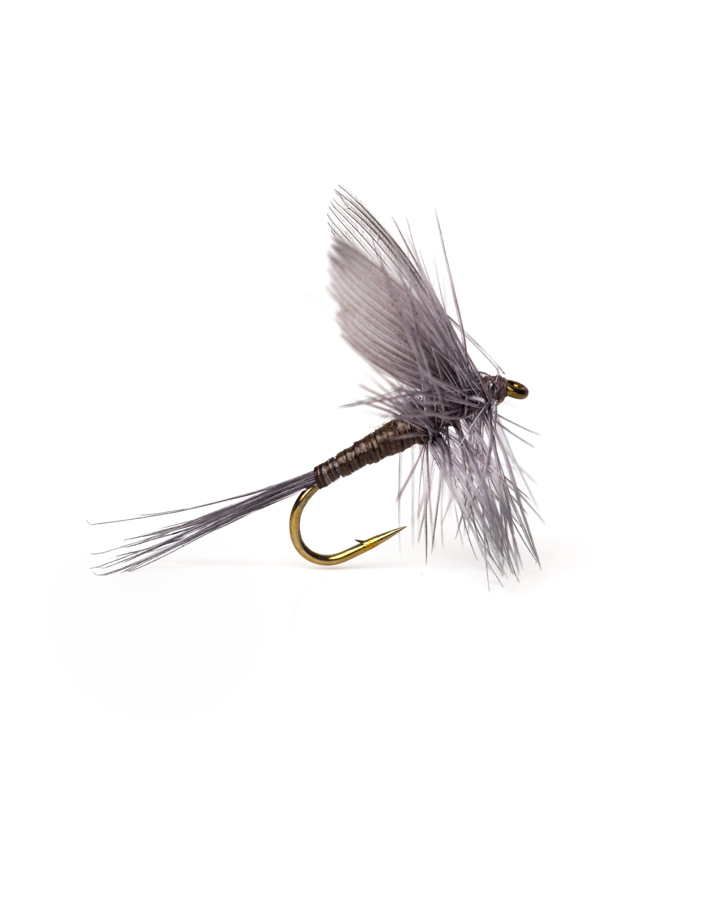 Dry Flies