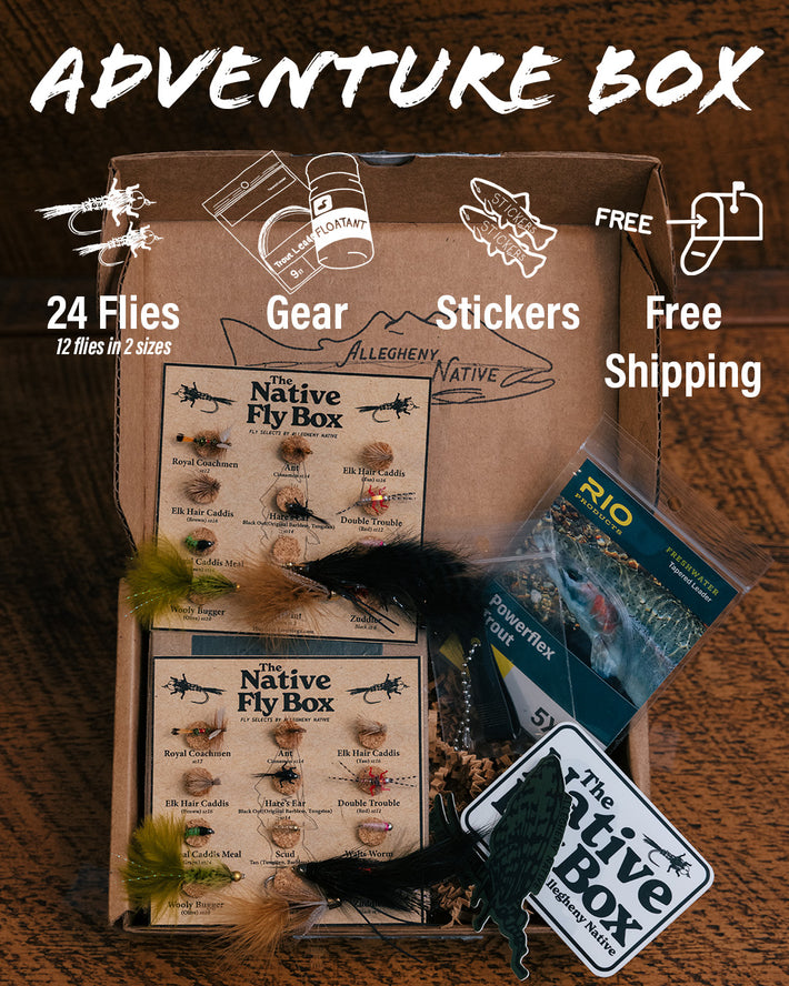 The Native Fly Box – Allegheny Native Films