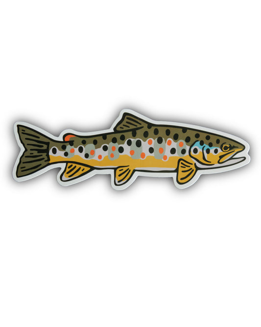 Wild Brown Trout Sticker