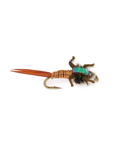 Nymphs Barbed