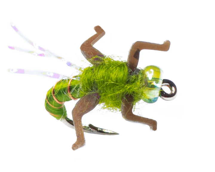 Nymphs Barbed