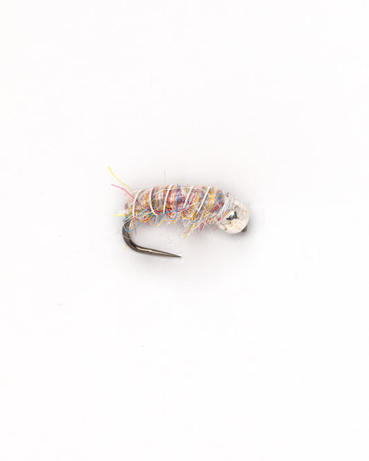 Rainbow Sow Bug
