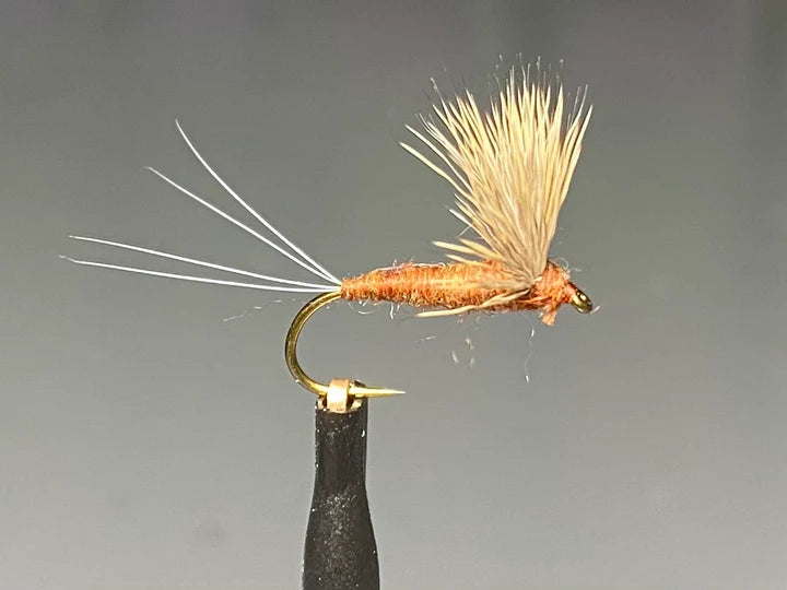 Dry Flies