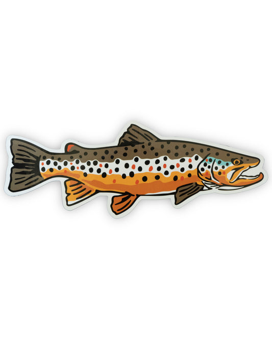 'Big Buck' Wild Brown Trout Sticker