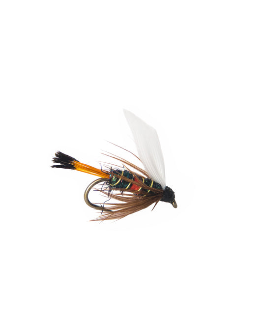 Wet Flies / Soft Hackles