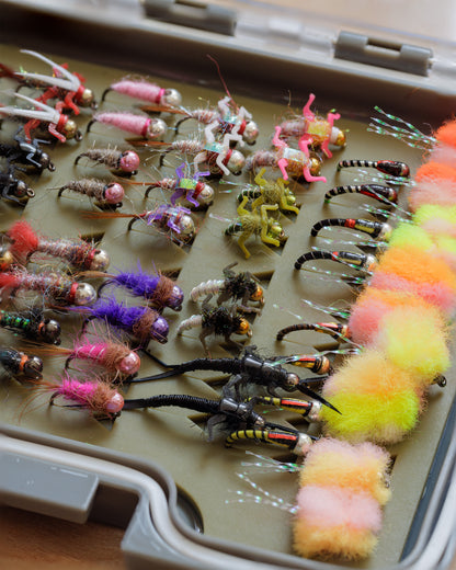 Trout Candy Box