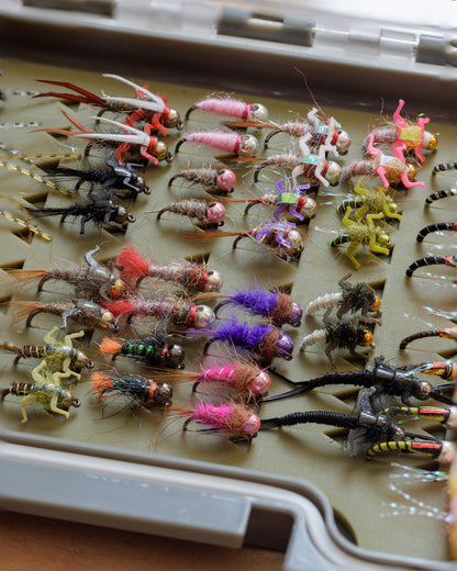 Trout Candy Box