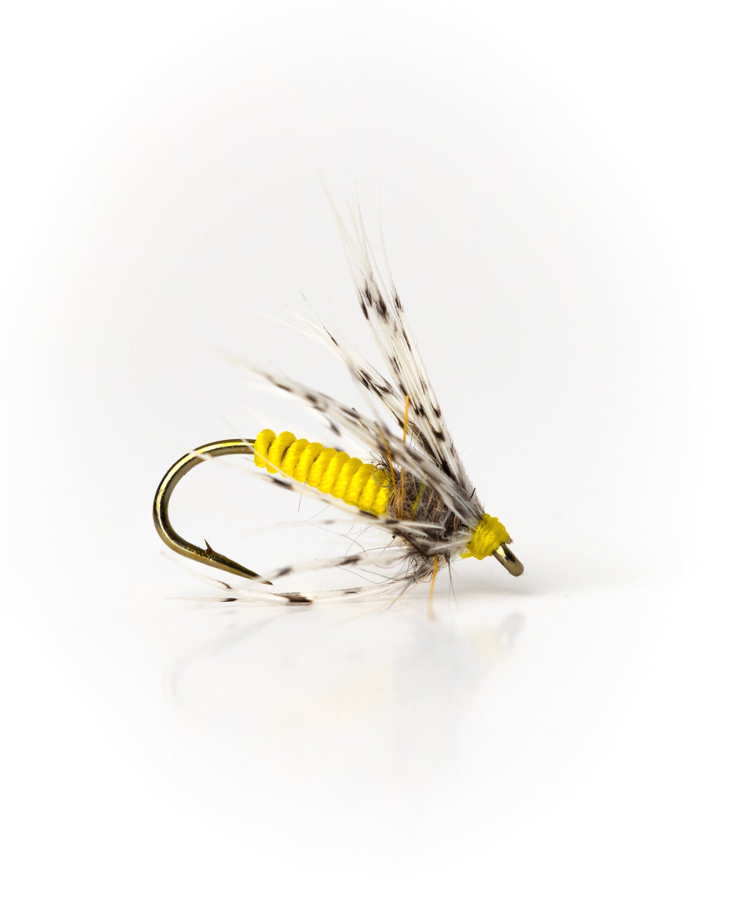 Wet Flies / Soft Hackles