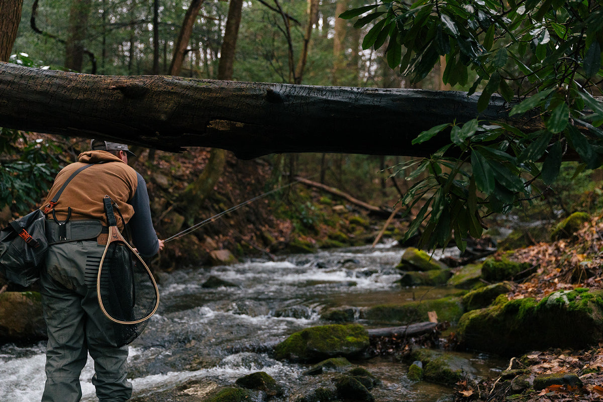 Allegheny Native: The Best Curated Fly Box Subscription Provider ...