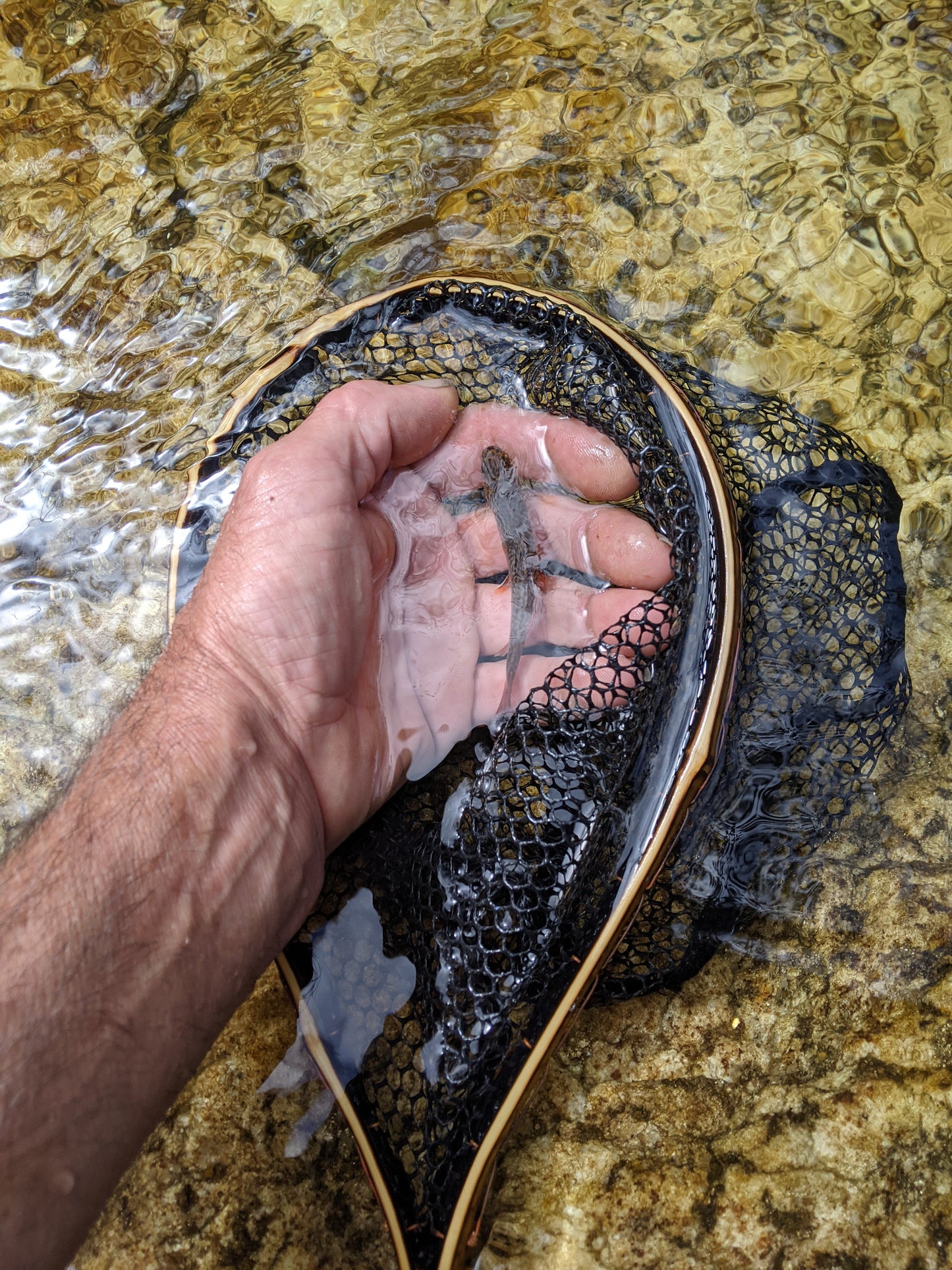 The Speck - 6.5x10" Hoop